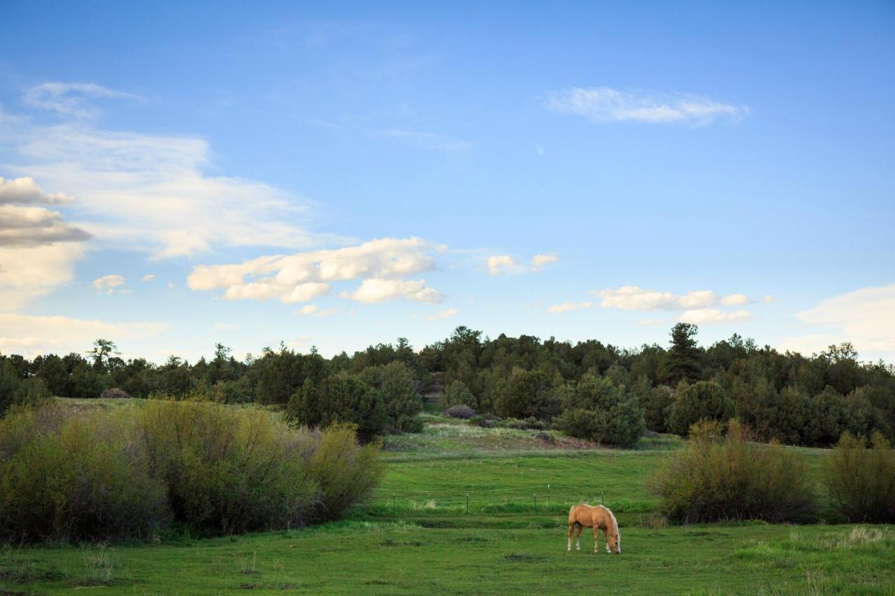 Hillside Colorado Cottages Luaran gambar
